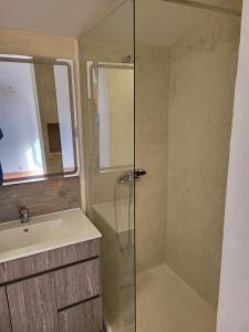 Koupelna v ubytování 1 Chambre piscine commune et 1 Gite piscine privée La Sauvasse