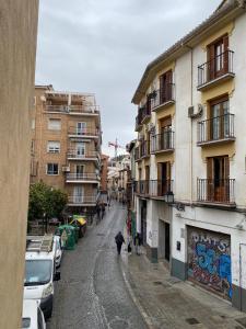 uma pessoa a passear um cão numa rua com edifícios em Elvira 81 em Granada