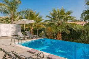 Πισίνα στο ή κοντά στο Villa Starfish Skala
