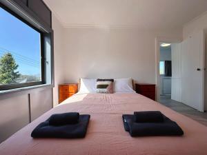 霍巴特Wellesley Mountain House near City的一间卧室，有一张大床，上面有两个枕头