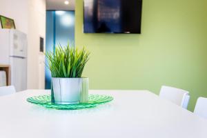 una pianta su un piatto su un tavolo di Appartamento Perla Verde, WiFi e Air Con a Cala Gonone