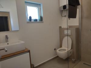 a bathroom with a toilet and a sink at Penthouse apartment in Gornji Karin near the beach in Anić +3 photos