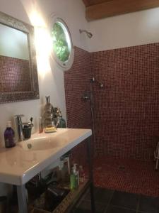 La salle de bains est pourvue d'un lavabo et d'une douche. dans l'établissement Magnifique Mas provençal dans le Luberon avec vue, à Pierrevert