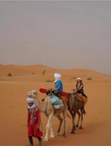 dos personas están montando en camellos en el desierto en Merzouga Luxurious Camp, en Merzouga