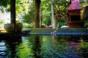 una piscina d'acqua con alberi e una casa di Casa Uma Turismo Rural a Taboeja