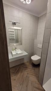 a bathroom with a sink and a toilet and a mirror at APARTAMENT JARACZA 28/10 in Słupsk