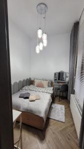 1 dormitorio con cama y escritorio. en APARTAMENT JARACZA 28/10 en Słupsk