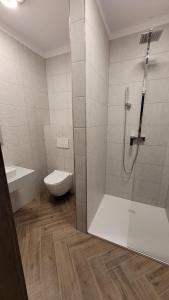 y baño con ducha y aseo. en APARTAMENT JARACZA 28/10 en Słupsk