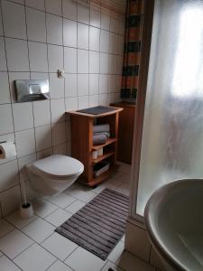 a bathroom with a toilet and a sink at Haus Ackerer in Leogang