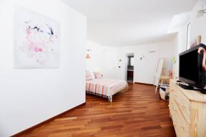 een woonkamer met een bank en een televisie bij iDream Apartment & Rooms in Catania