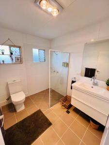 een badkamer met een toilet, een wastafel en een douche bij 'Your Place on Davidson' in Mount Isa