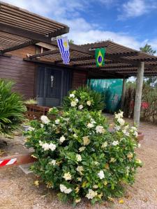 a bush of flowers in front of a house at Cabaña OHANA ALVORADA -BARRA CHUY BRASIL in Chuy