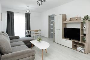 a living room with a couch and a tv at Cozy ApartHotel K Suceava in Suceava