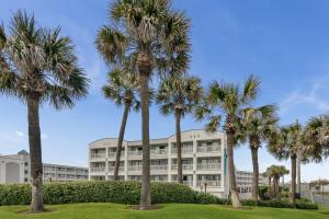 Κήπος έξω από το CDM 204 - Turtle-y Awesome