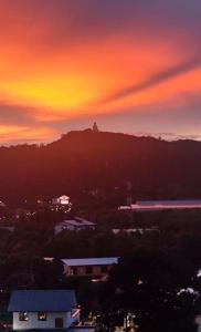 Naturlandskabet i nærheden af lejligheden