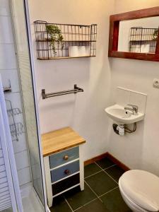 La salle de bains est pourvue de toilettes et d'un lavabo. dans l'établissement Appartement skis aux pieds, à Peisey Vallandry, à Landry