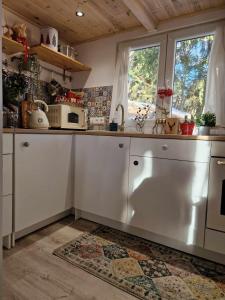 Kitchen o kitchenette sa Jelení dřevěnice s vlastní vířivkou