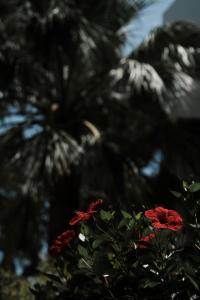 Paisagem natural perto do apart-hotel
