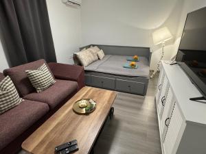 ein kleines Wohnzimmer mit einem Sofa und einem Couchtisch in der Unterkunft Doneto, apartment in private house in Rijeka
