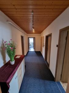 Fotografie z fotogalerie ubytování Zettler Apartment v destinaci Großsölk
