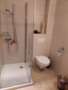 a bathroom with a shower and a toilet and a shower at BNB Les Prises in Les Ponts-de-Martel