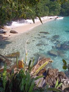 a beach with a group of people in the water at Casa com Praia no quintal in Angra dos Reis
