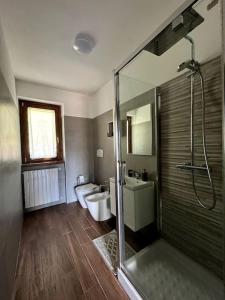 a bathroom with a shower and a toilet and a sink at Sém chì, relaxing cottage in the mountains in Gromo