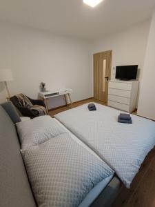 Postel nebo postele na pokoji v ubytování Apartmán Pregrtovi
