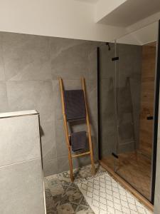 Koupelna v ubytování Apartmán Pregrtovi