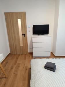 TV a/nebo společenská místnost v ubytování Apartmán Pregrtovi