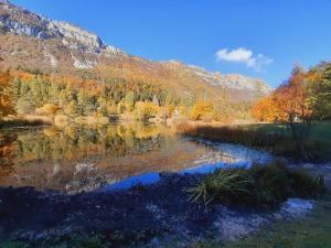 a pond in the middle of a forest with fall foliage at La porta verde di Trento in Romagnano