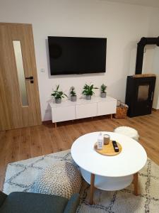 TV a/nebo společenská místnost v ubytování Apartmán Pregrtovi