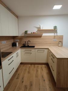 Kuchyň nebo kuchyňský kout v ubytování Apartmán Pregrtovi