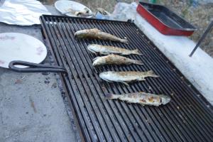 un grupo de peces están cocinando en una parrilla en Bonaca, en Sutomore