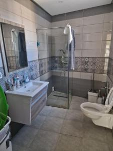 a bathroom with a shower and a sink and a toilet at Villa Smiley in Hammamet
