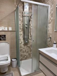 La salle de bains est pourvue d'une douche, de toilettes et d'un lavabo. dans l'établissement Villa Smiley, à Hammamet