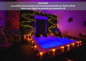 a swimming pool in a living room with a christmas tree at Appartement L'Évasion Nature in Troyes