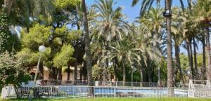 - une piscine dans un parc planté de palmiers dans l'établissement PINK LEMON SUITs, à Elche