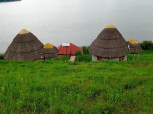 a group of huts in a field with grass at African Tent Resort in Kabale