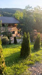 a house with bushes in front of a yard at Muntele cu dor in Buzau