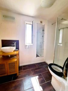 uma casa de banho com um lavatório e uma cabina de duche em vidro. em Suis Le Soleil em Brézilhac