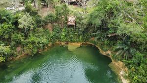ボドケーナにあるCasa Confortável em Bodoquena.の森の水のプールの空中景色