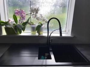 a kitchen window with two potted plants and a sink at COZY APPARTMENT Free parking in Reykjavík +22 photos