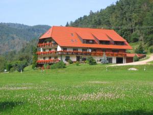 um grande edifício com um telhado laranja num campo em Mosertonihof em Elzach