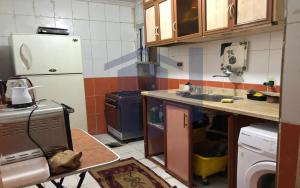 a small kitchen with a sink and a refrigerator at Green Sky in Alexandria