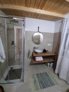 a bathroom with a shower and a sink and a mirror at Tra i Parchi in Pescina