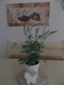 un vaso bianco con una pianta sul tavolo di Ferienland Sonnenwald Fewo 46 a Langfurth 