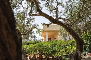 a tree with a building in the background at [Eleganza Rustica In Villa] A 5 minuti dal mare in Tonnara di Bonagia