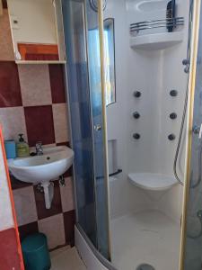 a bathroom with a sink and a shower at Skylark Relax Apartman in Szeged