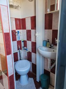 a bathroom with a toilet and a sink at Skylark Relax Apartman in Szeged